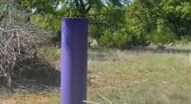 If you see a painted purple fence, this is what it means