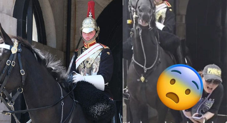 Tourist refuses warnings and gets bitten by King’s Guard horse.