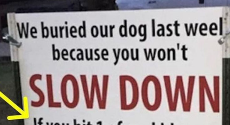 After dog gets hit by car, brutal sign has whole neighborhood talking