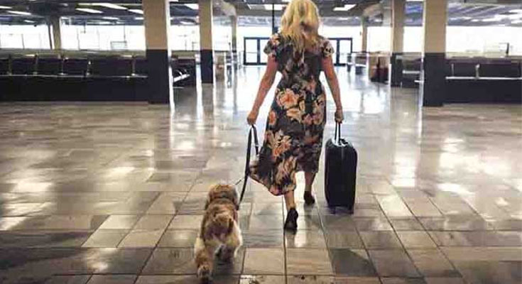 Entitled Woman Lets Her Dog Poop on The Airport Floor & Rudely Orders Staff to Clean It – So I Taught Her an Unforgettable Lesson