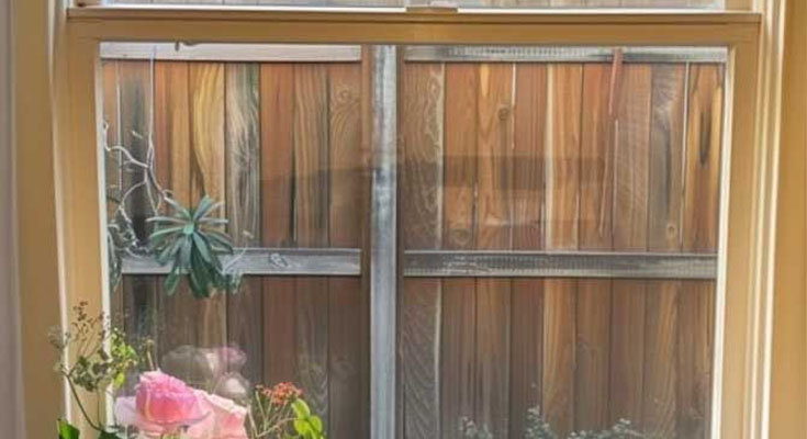 Rich Neighbor Built a Fence on My Property and Blocked My Windows While I Was on Vacation — I Taught Him a Perfect Lesson