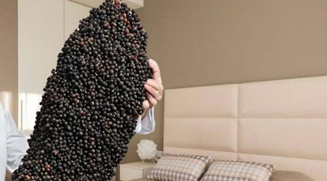 Embrace the Mystical Benefits of Black Pepper