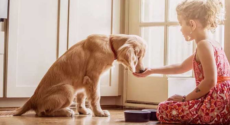 Is Your Dog Not Eating? Here Are 8 Potential Reasons Why They’re Skipping Dinner