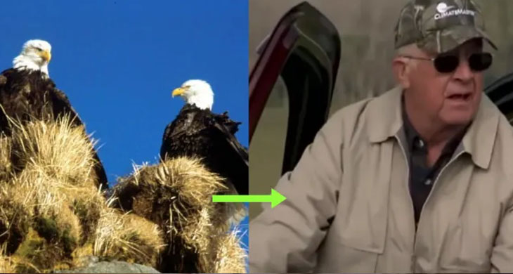 13 Bald Eagles Discovered Dead In Field, Authorities Investigate Farmers And Determine Cause Of Death