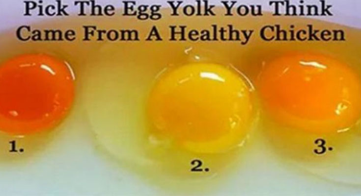 Tips for Choosing Quality Eggs