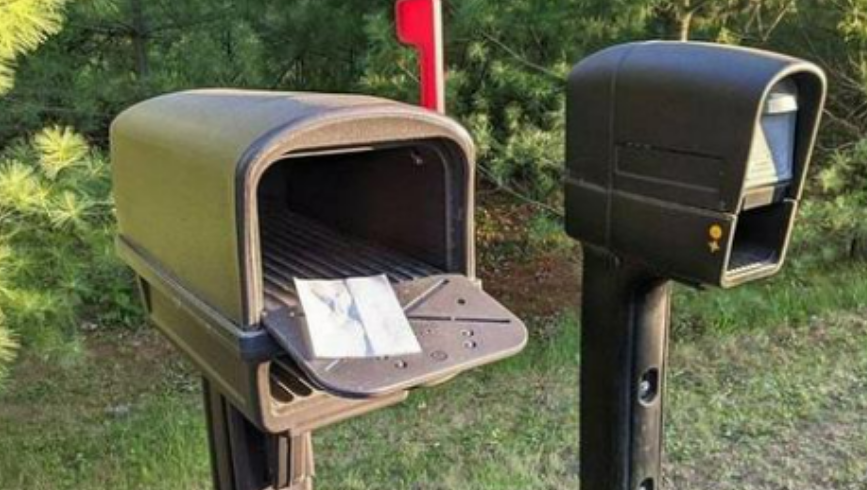 Keeping Mail Carriers Safe from Wasp Nests 