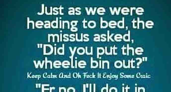 When Domestic Chores Turn Into Comedy Gold: The Wheelie Bin Chronicles