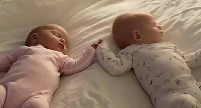 I Went to Pick Up My Wife and Newborn Twins from the Hospital — I Found Only the Babies and a Note