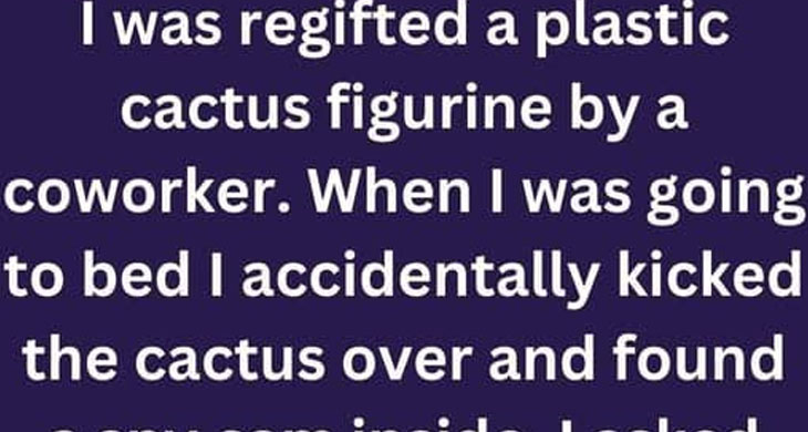 Regifted Cactus Reveals