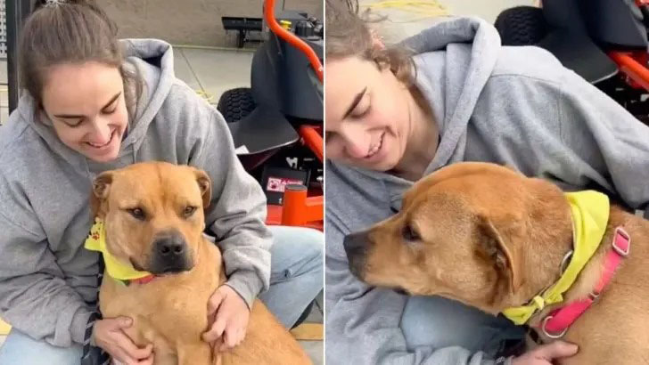 Friendly And Playful Pup From South Carolina Still Struggles To Find A Forever Home
