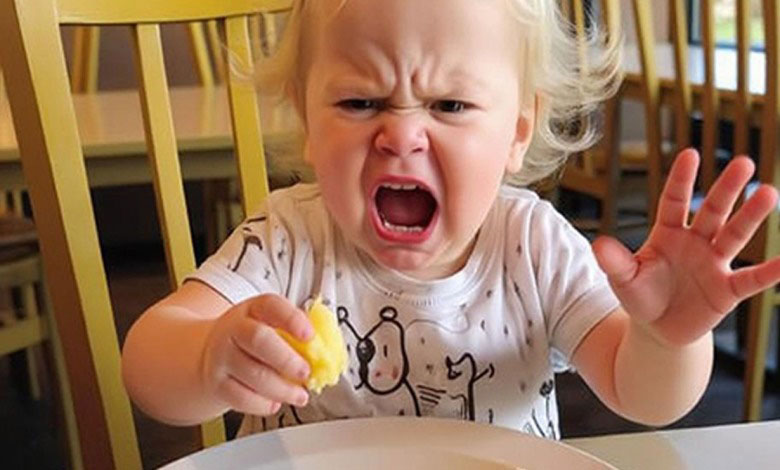 The Restaurant Fined Me for ‘Bad Parenting’
