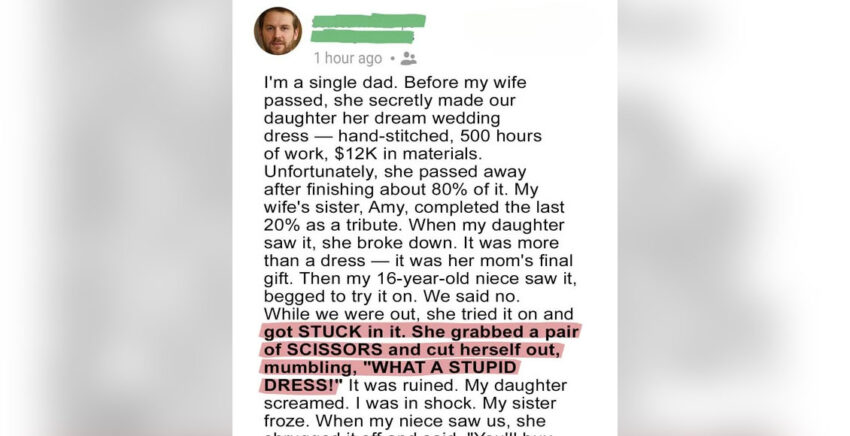 The Dress My Wife Made While Dying Was Destroyed
