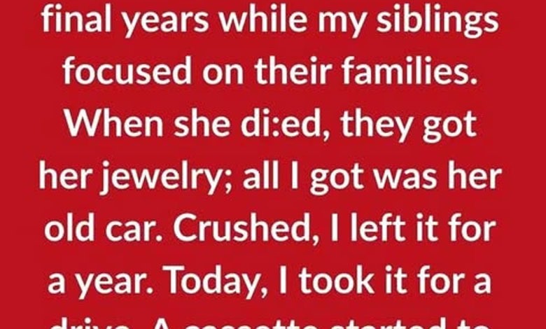 I Cared For Grandma While My Siblings Took Everything