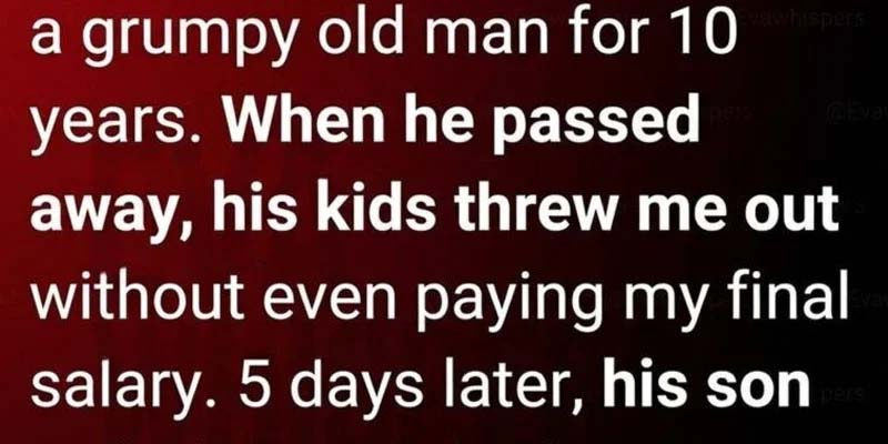 Nurse Kicked Out After Ten Years of Service Discovers Heartbreaking Hidden Box That Changes Her Life Forever